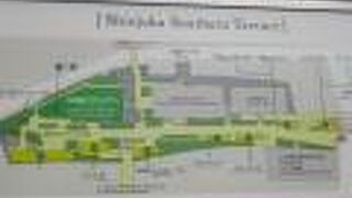 おしゃれなエリア。