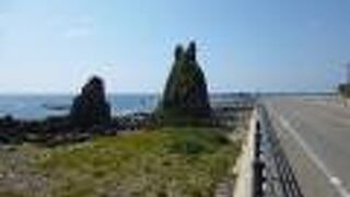 目がつけられています