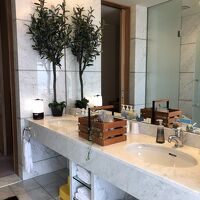 ダブルボウルの広いシンク。アメニティも特別。