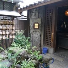 写真右奥にぼんやり浮かんでいるのがピーマン。