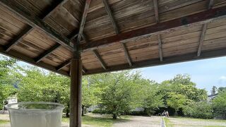 京都 「円山公園」でビール 