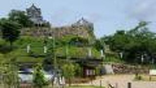 桜の名所だそうです