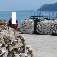 桟橋周辺で立ち働く島の人たちの様子も見て行きましょう。