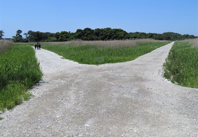 寒風沢島