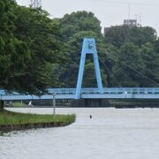 細長い水元公園の南の方で小合溜の支流を渡るのに架けられた水色の橋はどこからも見えるシンボル