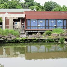 建物の中から野鳥の観察ができます