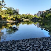 市街地ゆえ高層建築物が視界に