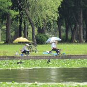 小合溜に釣り糸を垂らす姿やウォーキングを楽しむ人