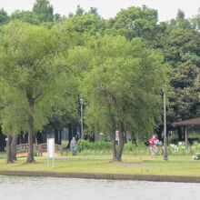 水辺の公園は憩いの場