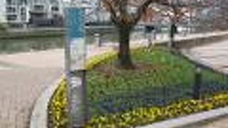 のんびりと川を眺めながらひと休みするのに良い