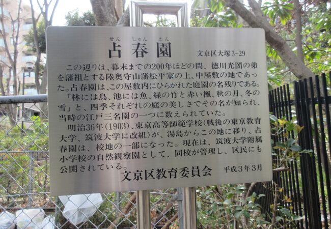 小学校の自然観察の場ですが