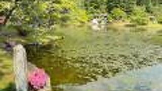 美しい場所です