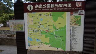 奈良市内に広がる鹿で有名な公園