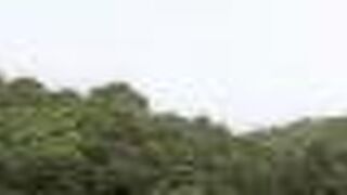 一路一景公園から絶景を！