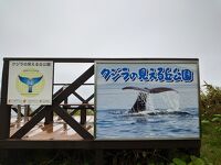 クジラの見える丘公園