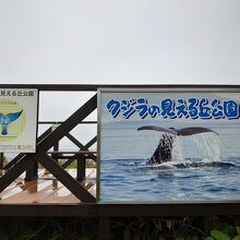 クジラの見える丘公園