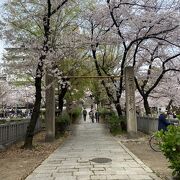 高津公園♪