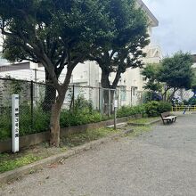 公園の広場