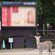 奈良公園の一角にある博物館
