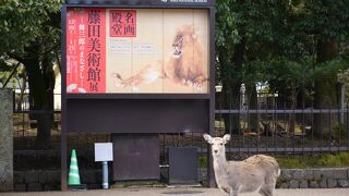 奈良公園の一角にある博物館