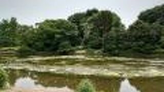 季節ごとで色々な雰囲気を楽しめる