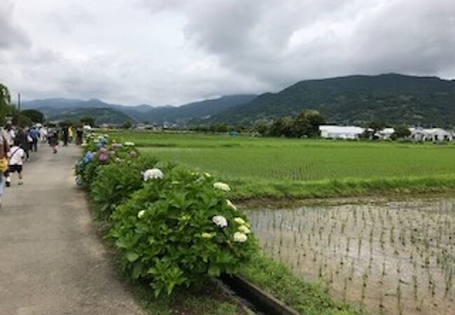 お祭りの日に行きました