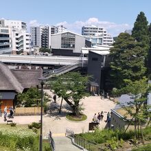 東照宮跡地や権現山への散策路が整備された上部からの眺め
