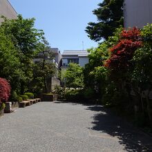 きちんと手入れされています