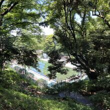 元町公園のプール