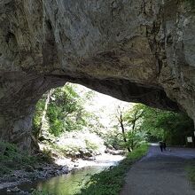 下流側から雄橋を見る。