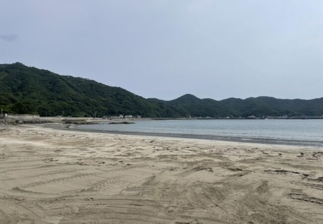 夏の準備中？