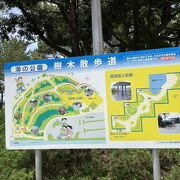 遊歩道も整備されています