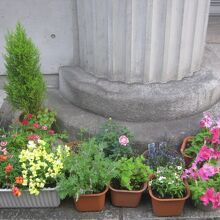 柱の根元に並んでいたお花の様子