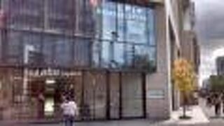 入り口わきの小さめのイチョウが黄色だったのが最高にきれい