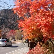 鮮やかできれいな紅葉時に今回訪れることが出来て、大感動