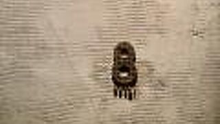 ホルモン・焼肉 8 hachi 