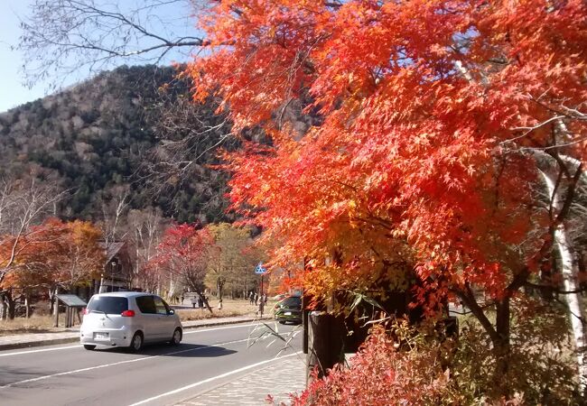 鮮やかできれいな紅葉時に今回訪れることが出来て、大感動