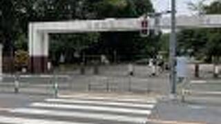 室内プールもある