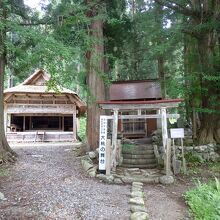 お隣の神社のまわりにある木々は樹齢３００年以上。