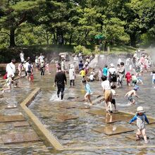 子度たちが大喜びした「水遊びの池」です。