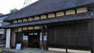 『古代蓮』の花は咲き始めたばかり