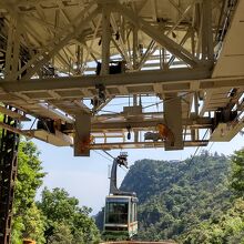 宮島の瀬戸内海側も海岸線まで緑がみっしり