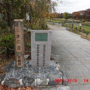 賀茂川沿いの遊歩道