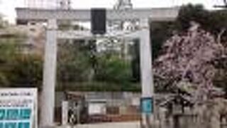 丁度ソメイヨシノの花が咲いていて、特に感動的