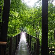 那須塩原の遊歩道に有る吊橋です。