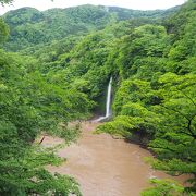 雨上がりで水量が多く雄大でした。