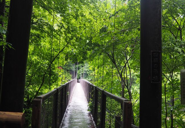 那須塩原の遊歩道に有る吊橋です。