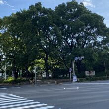 木もたくさん生い茂る