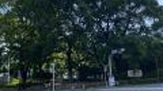 オフィス街のオアシス