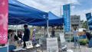 とくしまマルシェ開催されてました。